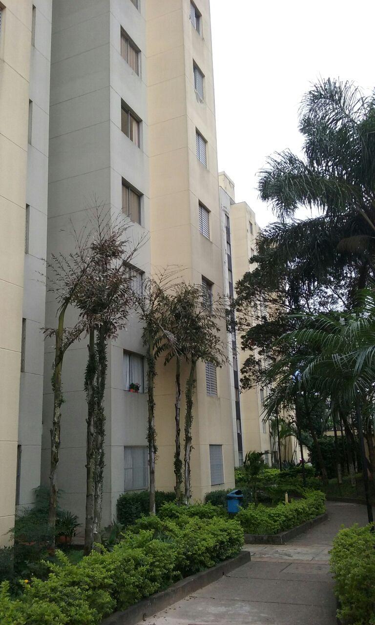 Lateral do Predio.jpg